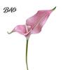 Nordic Style Artificial Flowers Calla Lily Flowers, Flexible Branches Realistic EVA Faux Flower, Retro Home Decor Soft Touch Fake Lilies for
