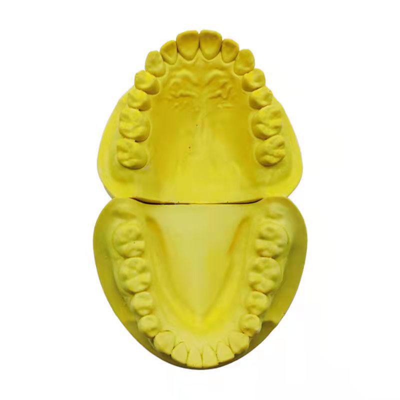 Образовательная модель зуба для детей - Игрушка для практики чистки зубов