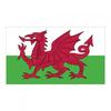 Полиэстер с принтом Флаг Уэльса
