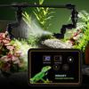 Система распыления Rainforest Tank Timing, набор для распыления, альпинистская черепаха, интеллектуальный распылитель, высокое качество, низкий уровень шума