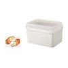 Fresh Keeping Sandwich Box Plastic Vegetable Fruit Storage Container Portable Toast Box  Kitchen