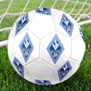 Футбольный мяч Waldhof Mannheim 07, размер 5, разноцветный, подходит для всех возрастов, сшит машинной строчкой, материал ПВХ, соревновательного уровня, прочный и с высоким отскоком