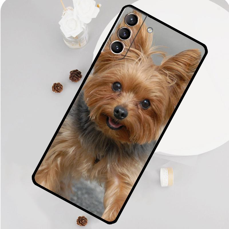 Чехол для телефона с изображением собаки Йоркширский терьер для Samsung Galaxy S26 S25 S24 S20 S21 S22 S23 Ultra S10 Plus S25 FE Funda Cover