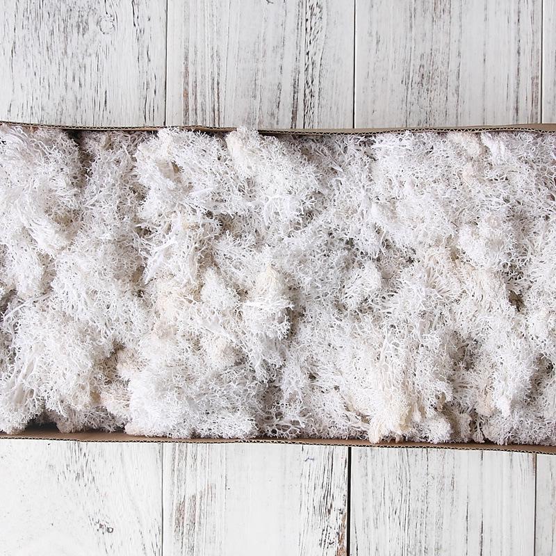 Preserved Flower & Moss Wall Decoration Kit: Flower Gift Box Materials