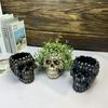 1pc Halloween Skull Flower Pot Ornament Statue Succulent Pot Plant Pot Crafts Desktop Decoration