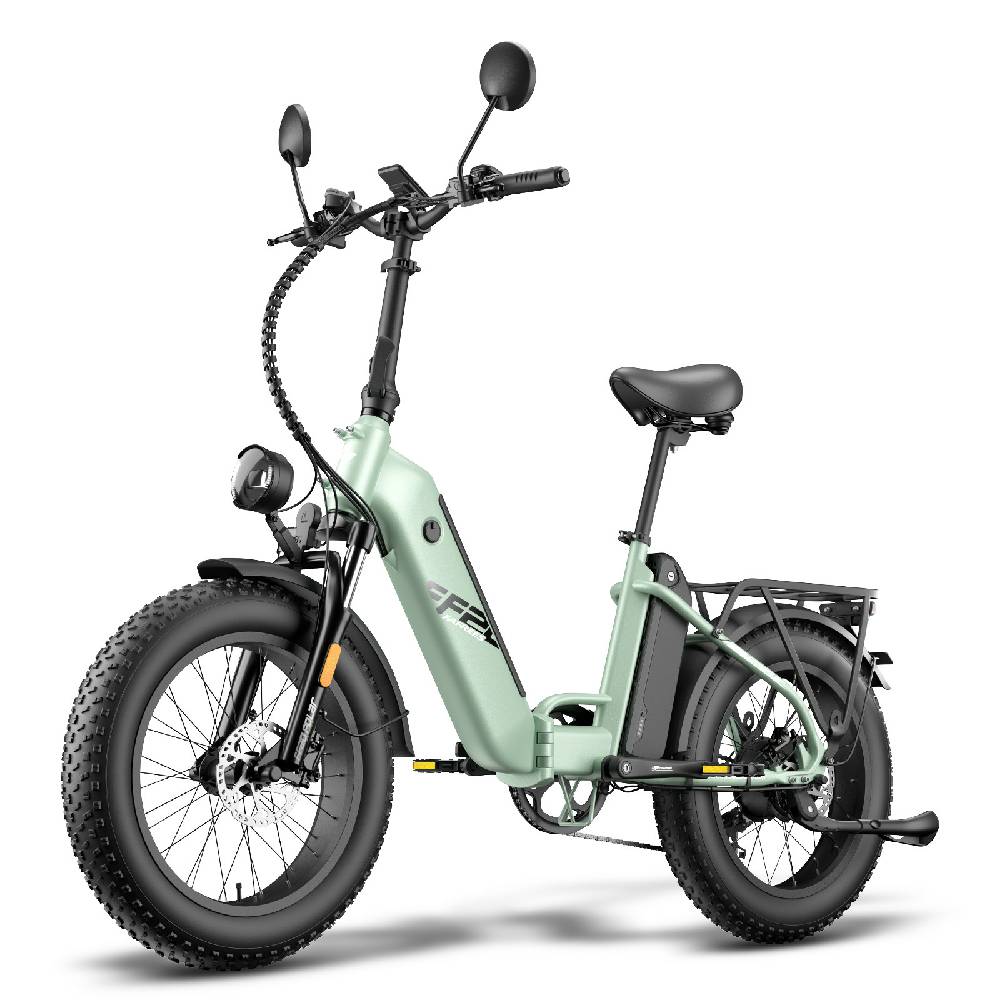 Electric Bicycle Fafrees FF20 Polar 20" 500W Motor Dual Disc Brakes 48V 24AH LCD Display Top Speed 45Km/h Max Load 150kg