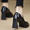 AJGS Fashionable Ultra-high Heel Single Shoes Thick Heel Non-slip 2024 Autumn and Winter Platform Women's Shoes