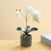 Artificial Potted Plant Faux Moth Orchid Bonsai Desktop Artificial Potted Phalaenopsis Flowers for Home Dining Table Office Desk Decoration