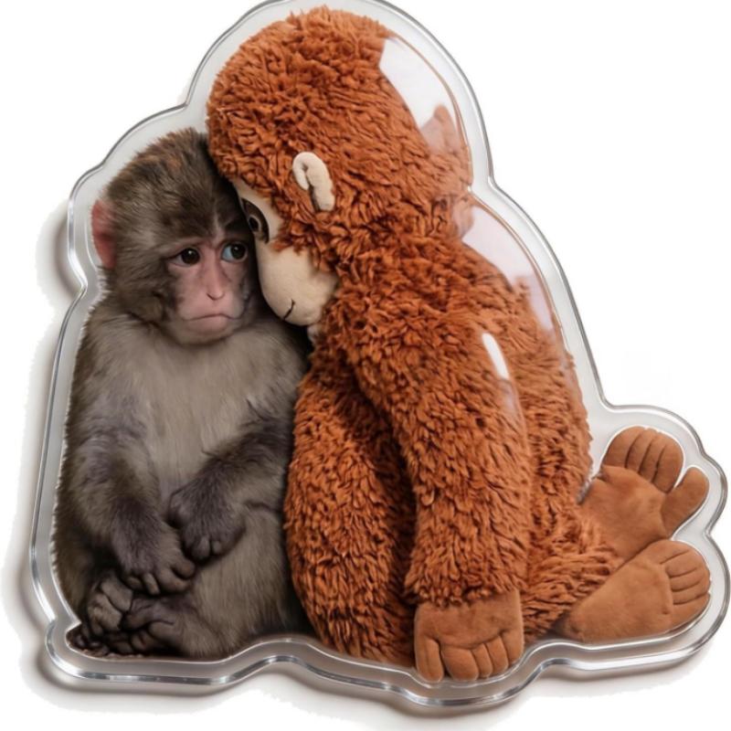 Boxing Monkey Refrigerator Magnet Set Protective Animal Fridge Magnets for Home Kitchen Office Locker Decorative