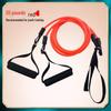 Freestyle Land Swimming Trainer: Resistance Bands with Arm Strength Ropes & Hand Paddles