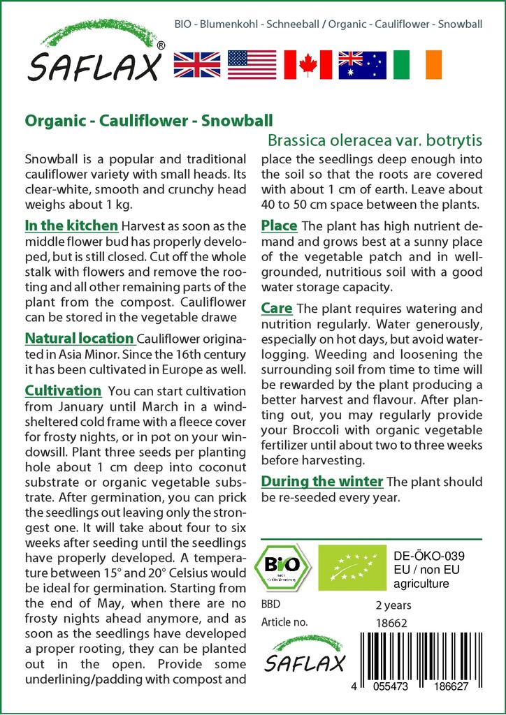 SAFLAX Organic - Цветная капуста - Снежок - 70 семян - Brassica oleracea