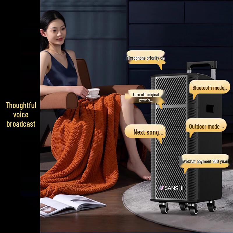 SANSUI G26 Портативная уличная караоке-колонка (Китайская версия)