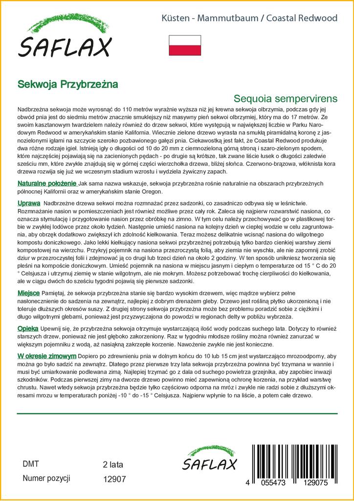 SAFLAX Прибрежное секвойя - 50 семян - Sequoia sempervirens