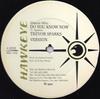 12inch Record TREVOR SPARKS - Do You Know Now (Dance Mix); Versio HD102 Hawkeye UK Reggae, Ska & Dub