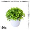 Non-fading Home Decor Eucalyptus Greening Table Centerpieces Energetic Decorative Plant