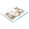 Tempered Glass Kitchen Board with Decorative Graphics of Small Cats 60x52 Cm