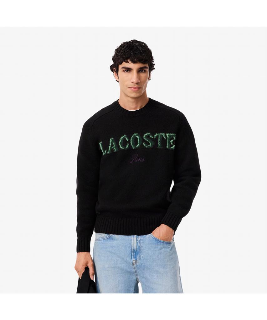 Мужской праздничный свитер с круглым вырезом LACOSTE Ah5202-55N Xiy