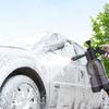 2л Ручной пенораспылитель для мойки автомобиля и садоводства