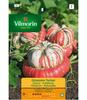 GIRAUMOND TURBAN PUMPKIN Seeds