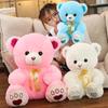 Cute Teddy Bear Doll Plush Toy Girl Heart Hug Bear Doll Rag Doll Children's Birthday Gift