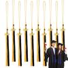 Кисточка для выпускного 2025 года Выпуск 2025 года Кисточка 10X Сувенирный кулон Украшения для старшей школы Университета Магистра Учителя