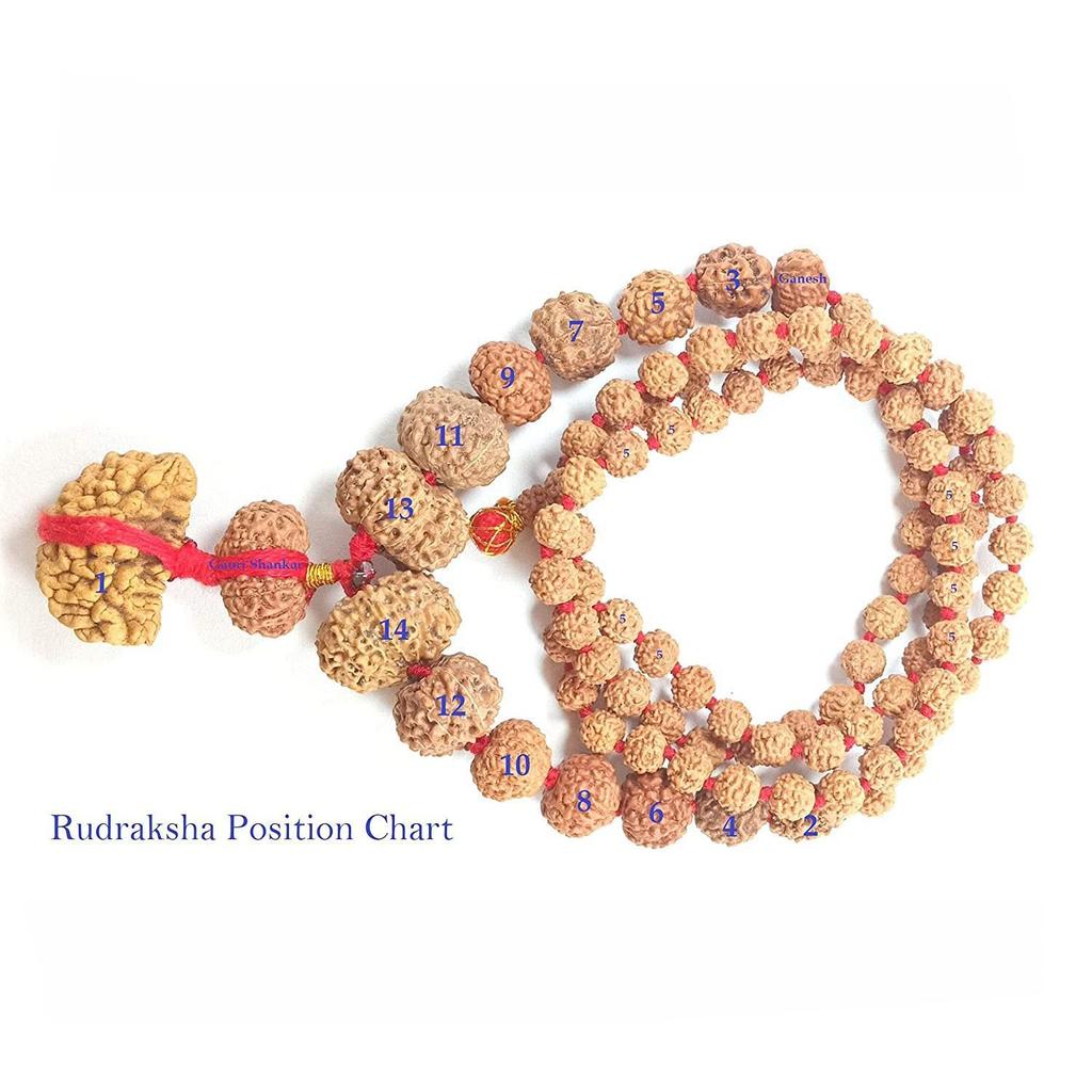 Четки из Рудракши (1-14 мукхи + 5 мукхи), Rudraksha Mala, SHIVARATNA