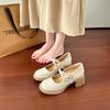 2025 Spring and Summer New Retro Mary Jane Thick Heel Single Shoes Medium and High Heel Commuting Light Mouth Small Leather Shoes High Sense JK Shoes