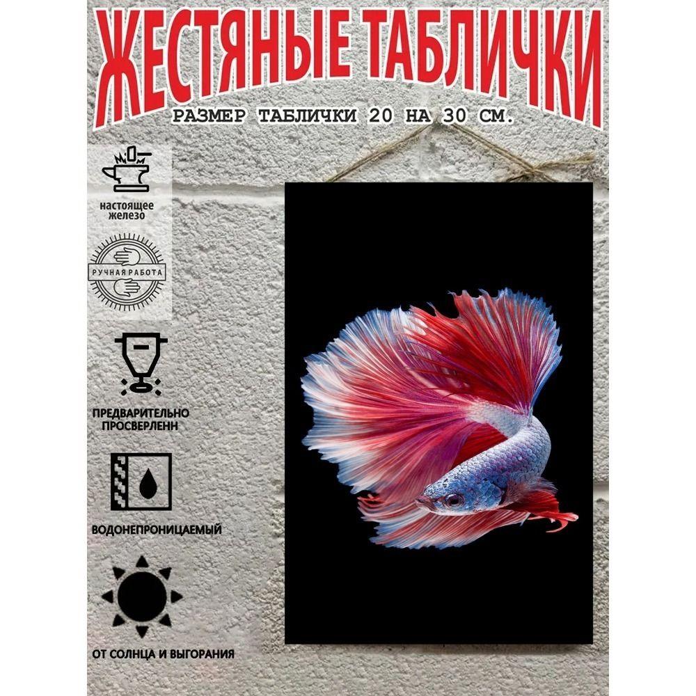 Металлические Настенные Знаки, Коллекция Морских Существ, Декор Комнаты, 20x30 см