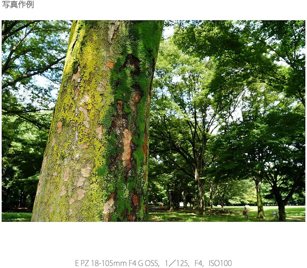 Sony Standard Zoom Lens APS-C E PZ 18-105mm F4 G OSS G Lens Genuine Lens for Digital Single Lens Camera [E Mount] SELP18105G