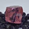 180.47 Ct Natural Pink Sapphire Uncut Rough Vintage Rare Gemstone CERTIFIED