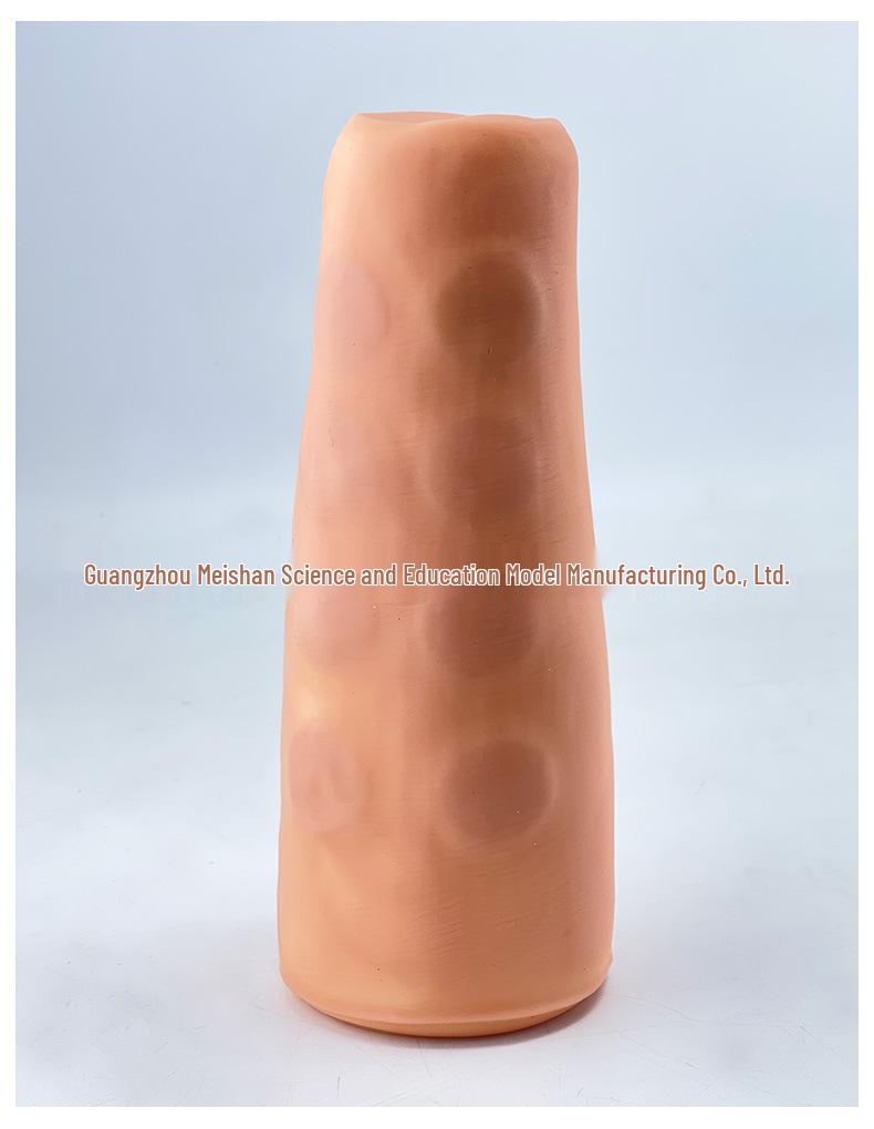 Multifunctional Venipuncture and Injection Training Arm