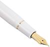 Sailor fountain pen Profit 21 Белый Extra Fine 11-2021-110
