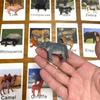 Модель Обучающая Детская Динозавр Морское Животное Фигурки Биология Английский Карточки Флэш-карты Игра на Сопоставление Сенсорная Монтессори Детская Игрушка