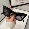 Punk Leopard Print Eyewear UV400 Wide Legs Sun Glasses Fashion Cat Eye Sunglasses  Travel
