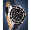 Часы Pierre Ricaud P97248.X214QF