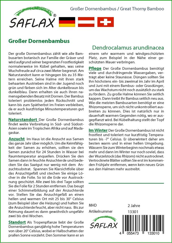 SAFLAX Бамбук большой колючий - 50 семян - Dendrocalamus arundinacea