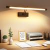 LED Bathroom Mirror Light: Long Strip Wall-Mounted Makeup and Picture Light