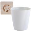 Dolce Duo Lightweight Seigaiha Wave Made In Wooden Perfect for Cold Japanese Tumbler, Thin, Pattern, Japan, Porcelain, White, Box, Sake, Souvenir,