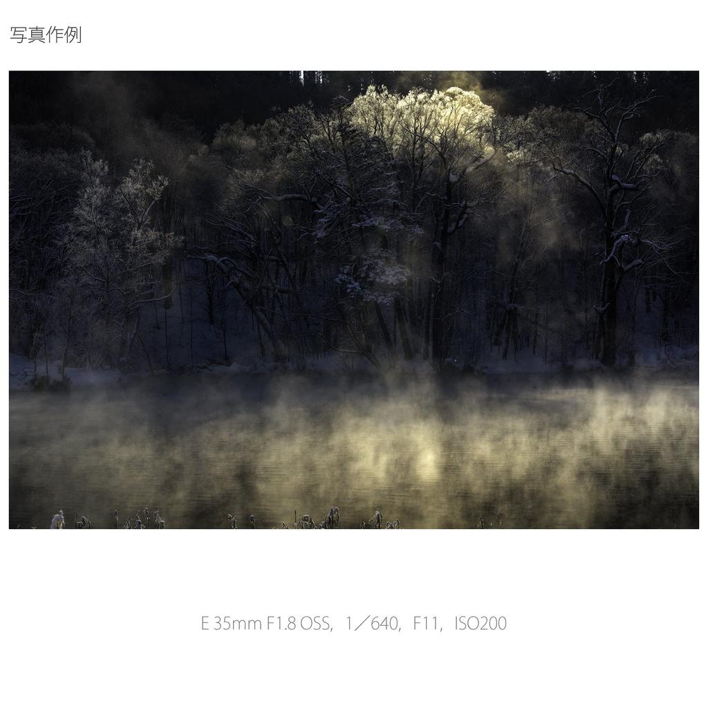 Sony Single Focus Lens E 35mm OSS for Sony E Mount Only SEL35F18 F1.8 APS-C