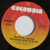 7-дюймовая пластинка CRYSTAL GAYLE - Ты никогда не сдавался из-за меня / Теннесси 1802718 Columbia 1981 США Фолк Б/У