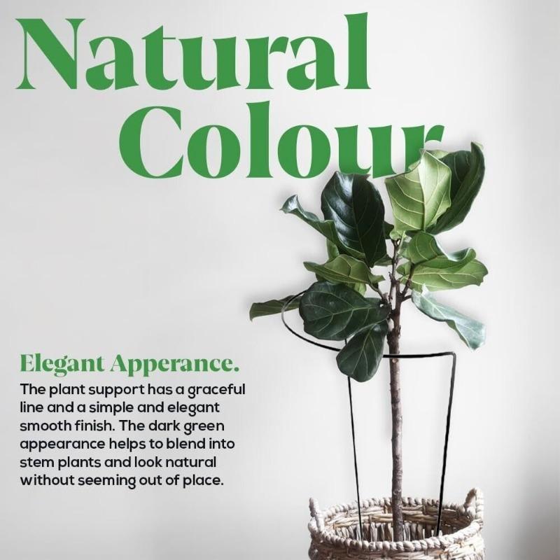 Колья для поддержки растений, 8 шт., зеленая опорная рамка с бантиком, клетка для сада, полукруглая