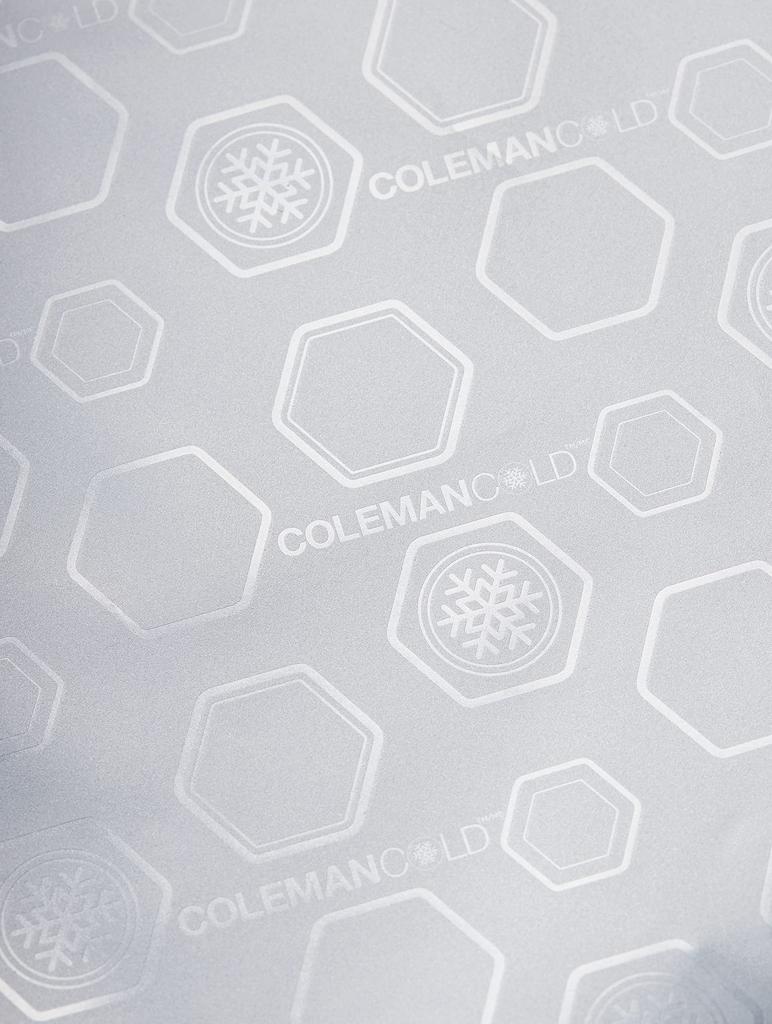 Coleman Daily Cooler 2000038950 Tote/25L (Butternut)