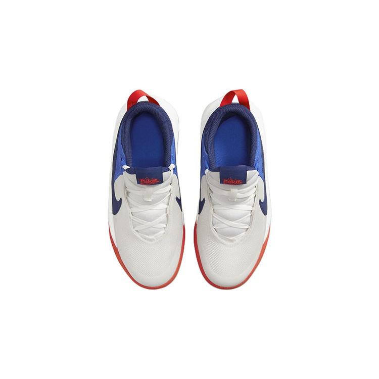 Nike Team Hustle D 10 Low top Basketball Shoes Unisex Kids' CW6735-103