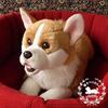 Ninian and Kino Plush Dog, Realistic Lying Down, Approximately 40cm Long, Pet (Corgi)