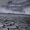 CD АВИШАЙ КОЭН Flood ANZ5102 Anzic 2008 Джаз США Б/у