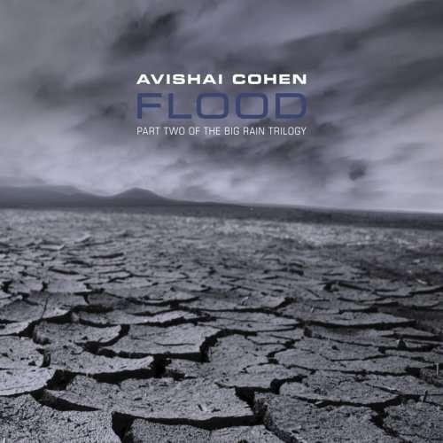 CD АВИШАЙ КОЭН Flood ANZ5102 Anzic 2008 Джаз США Б/у