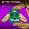 Педаль эффектов Olinthus Cicada Overdrive [В комплекте кабели-разветвители для входа и выхода]