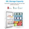 Mini Fridge Refrigerator Beauty Cooler Warmer Refrigerators Constant Temperature Skincare Preservation for Home CAR 20L/220V EU