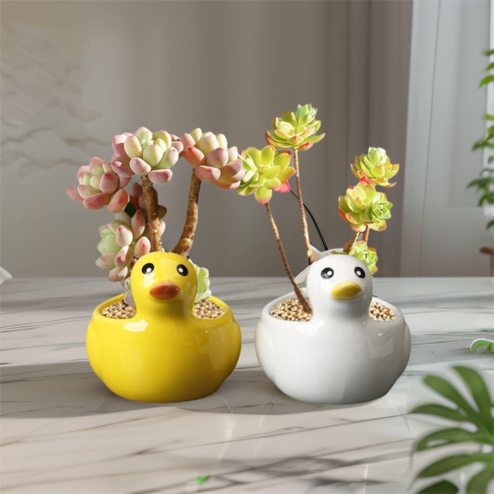Милый суккулент, цветочный горшок, креативная гидропонная ваза, керамический цветочный горшок в виде утки, спальня