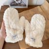 Плюшевые перчатки для женщин Зимой Тепло Новые Однотонные Утолщенные Плюшевый Флис Пальцы Для Защиты от Ветра и Холода Студенческий Тренд